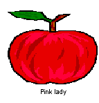pinklady.gif (2666 bytes)