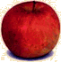 redapple.gif (4312 bytes)