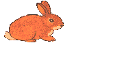 mbunny.gif (28346 bytes)