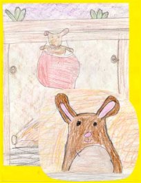 bunny3a.jpg (14385 bytes)