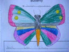 child's butterfly drawing