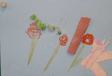 child's drawing butterfly cycle