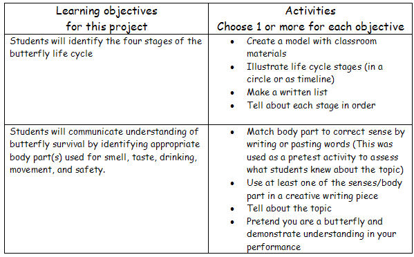 project objectives