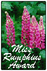 We won the Miss Rumphius award!