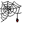 spider.gif - 5.3 K