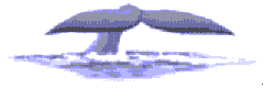 anitail.gif (6187 bytes)