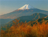autumn.jpg (15107 bytes)