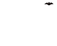 bat.gif (26317 bytes)