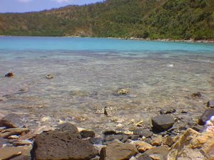 beach4.jpg (20870 bytes)