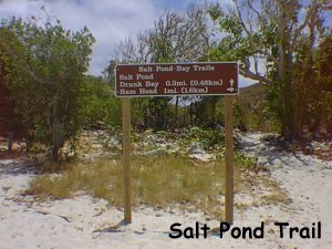 beach7.jpg (23738 bytes)