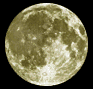 moonani.gif (41187 bytes)