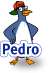 Pedro