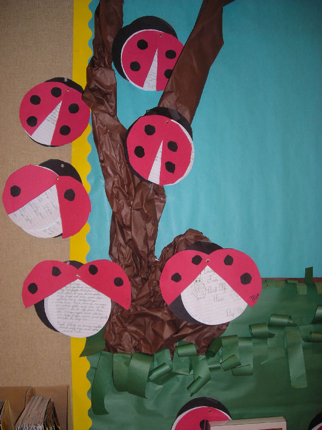 ladybug display