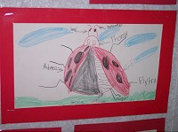 ladybug diagram