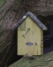 Hibernating Ladybird Box Hibernating Ladybird Box