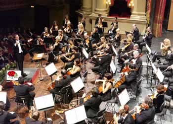 String Section String Section