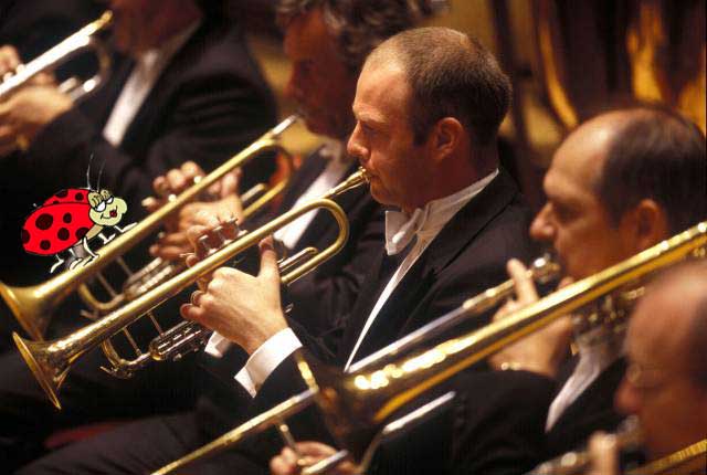 Brass Section Brass Section