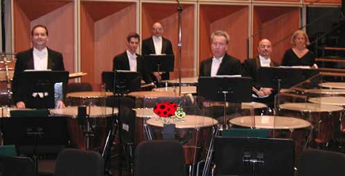 Percussion Section