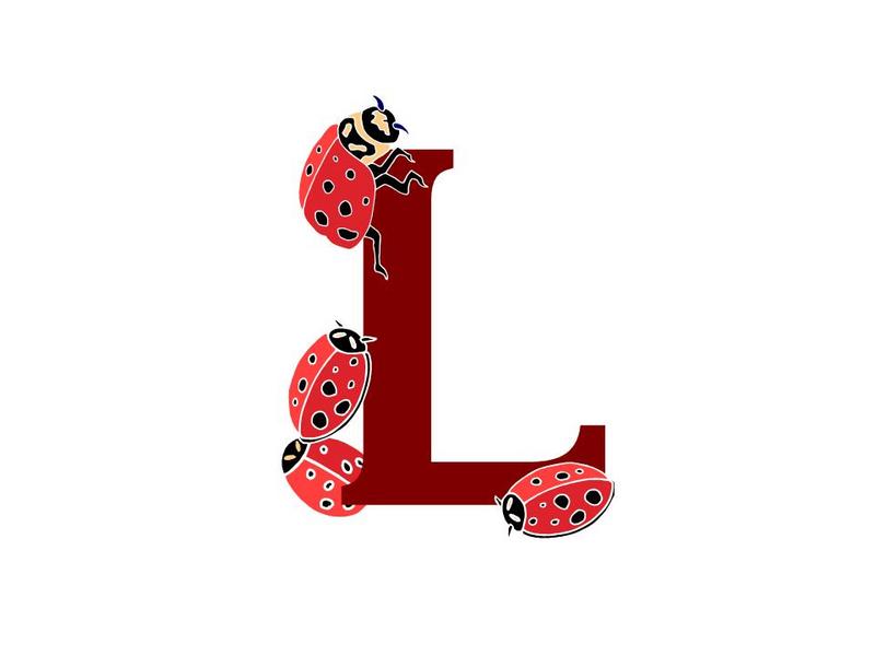 L for ladybugs L for ladybugs