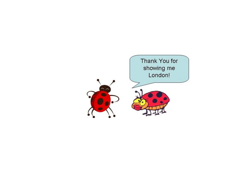 ladybug thanks ladybug thanks