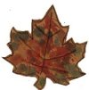 jg2leaf.jpg (3195 bytes)