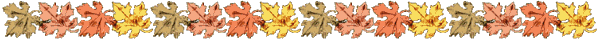 line2.gif (9323 bytes)