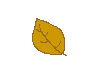 tan.gif (1132 bytes)