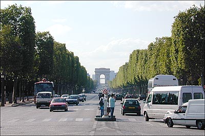 ChampsDaylightSmall.jpg (38260 bytes)