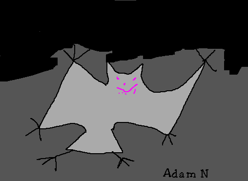 adam.gif (4807 bytes)