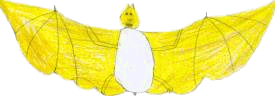 klein2.gif (16081 bytes)