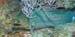 green-moray-1