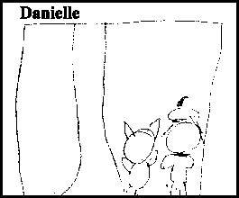 danm.gif (2160 bytes)